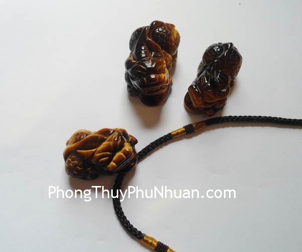 ty huu mat meo vay rong S931 2 Tử vi hàng ngày cho bạn: Thứ sáu của bạn 4/10/2013